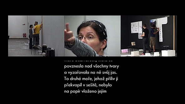 Anča Daučíková: Portrait of a Woman with Institution – Monika Mitášová with Bridging of the SNG [Slovak National Gallery]