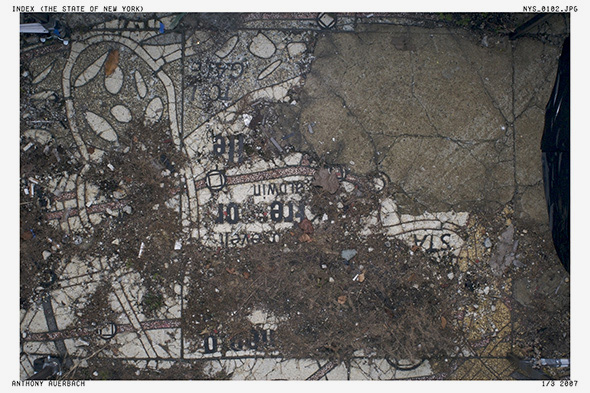 Anthony Auerbach: Index (The State of New York)